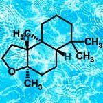 nota-olfattiva-Cascalone