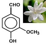 nota-olfattiva-Hedione