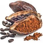 nota-olfattiva-Baccello di Cacao