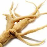 nota-olfattiva-Ginseng