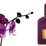Velvet Orchid Lumière - Tom Ford - Foto 4