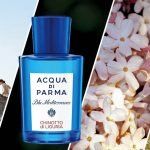 Blu Mediterraneo – Chinotto di Liguria - Acqua di Parma - Foto 4