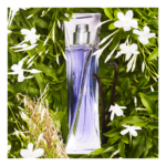 Hypnôse Eau de Parfum - Lancome - Foto 3