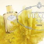 Infusion de Mimosa - Prada - Foto 4