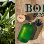 Cannabis fruttata - Bois 1920 - Foto 3