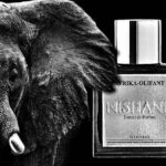 Afrika Olifant - Nishane - Foto 3